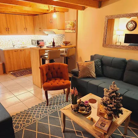 Luxury Loft Sofia דירה *